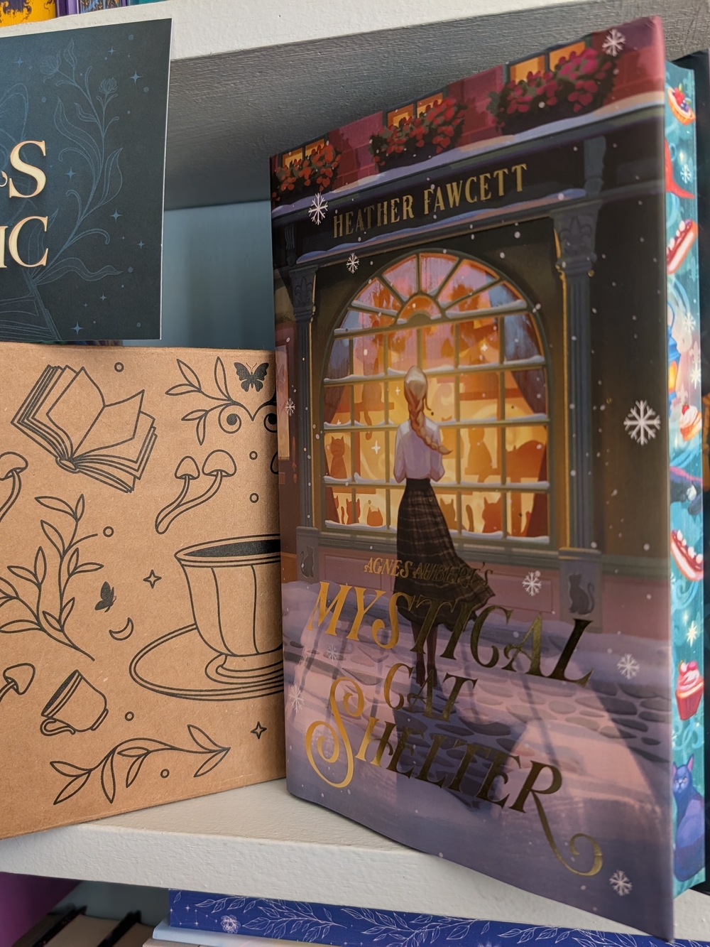 Fairyloot Cozy Fantasy AGNES AUBERT'S MYSTICAL CAT SHELTER by Heather Fawcett